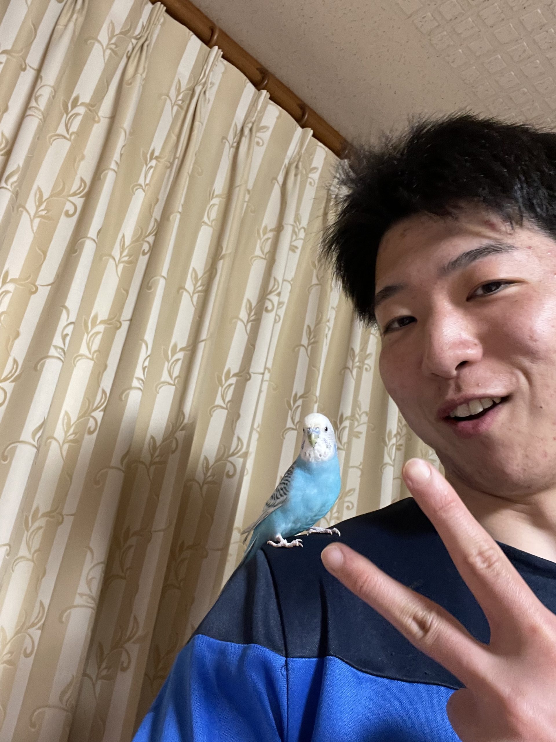 あべきん